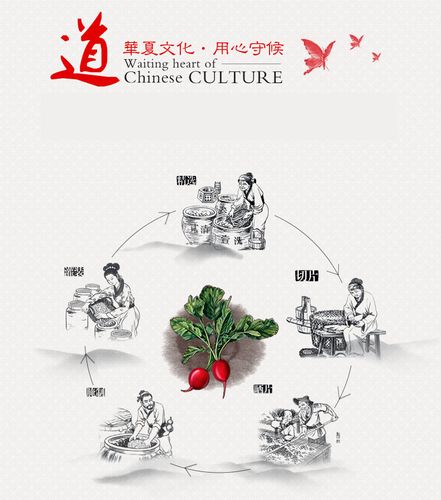 新品腌制芜湖市中国食用农产品促销特价新款正品泡菜制售脱水蔬菜